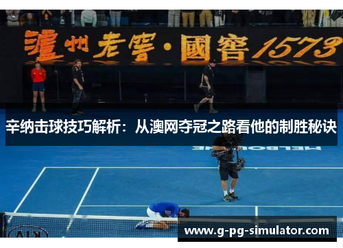 辛纳击球技巧解析：从澳网夺冠之路看他的制胜秘诀