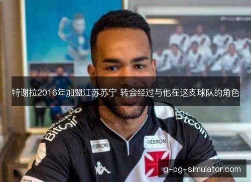 特谢拉2016年加盟江苏苏宁 转会经过与他在这支球队的角色 特谢拉2016年加盟江苏苏宁 转会经过与他在这支球队的角色